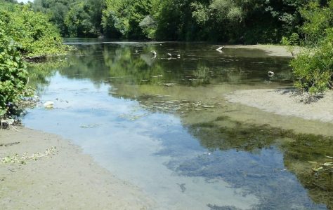 lone-des-castors-ile-vieille-mondragon-cen-paca-1800x760x1