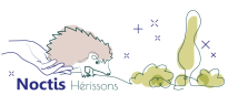 noctis-herisson-logo